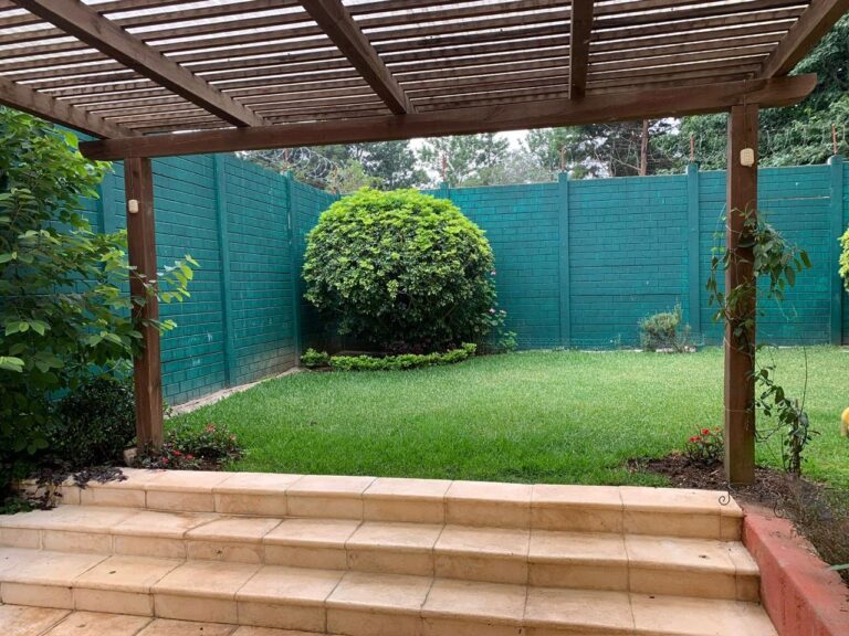 PHOTO 2024 11 11 08 12 03 3 1 768x576