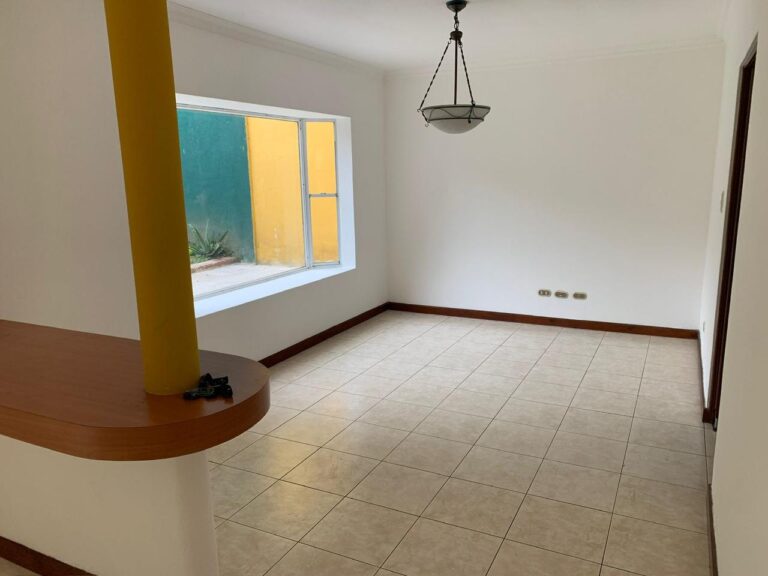 PHOTO 2024 11 11 08 12 03 8 1 768x576